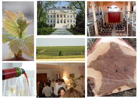 france_oenotourisme